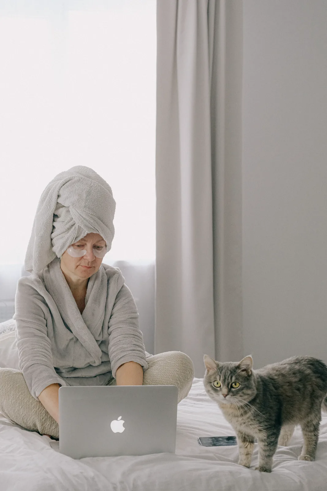 Catsitter Alvis podczas wizyty u kota