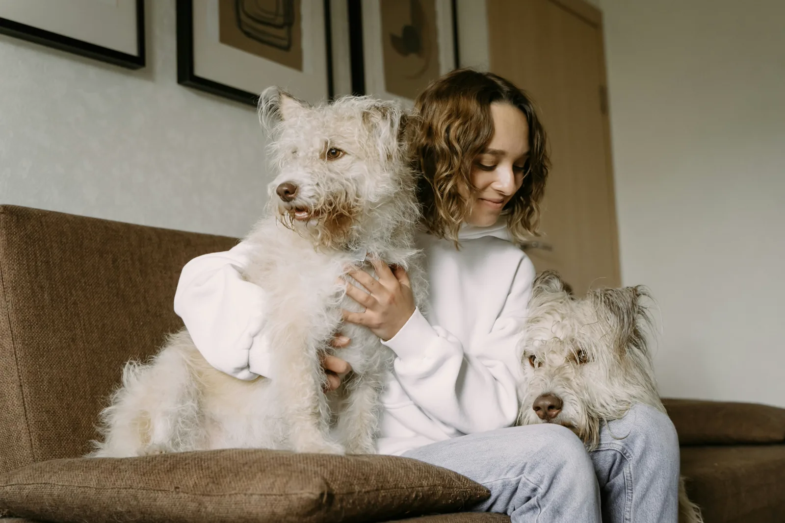 Petsitter Alvis podczas opieki nad zwierzęciem