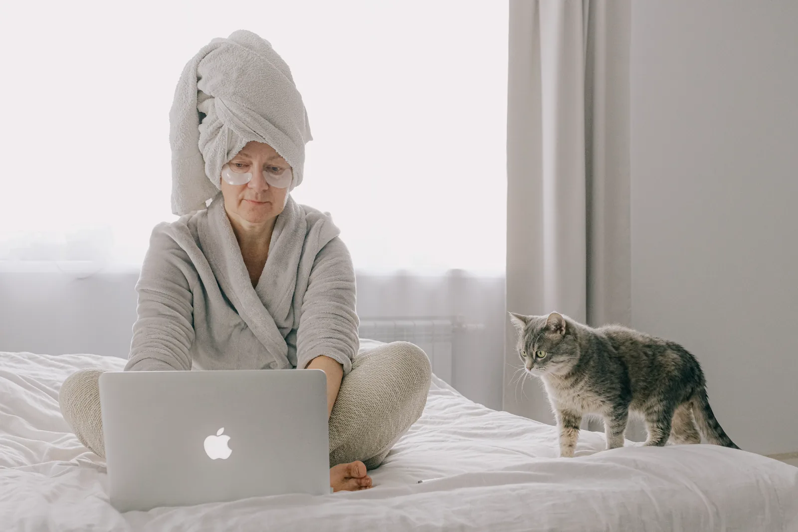 Catsitter Alvis podczas wizyty u kota