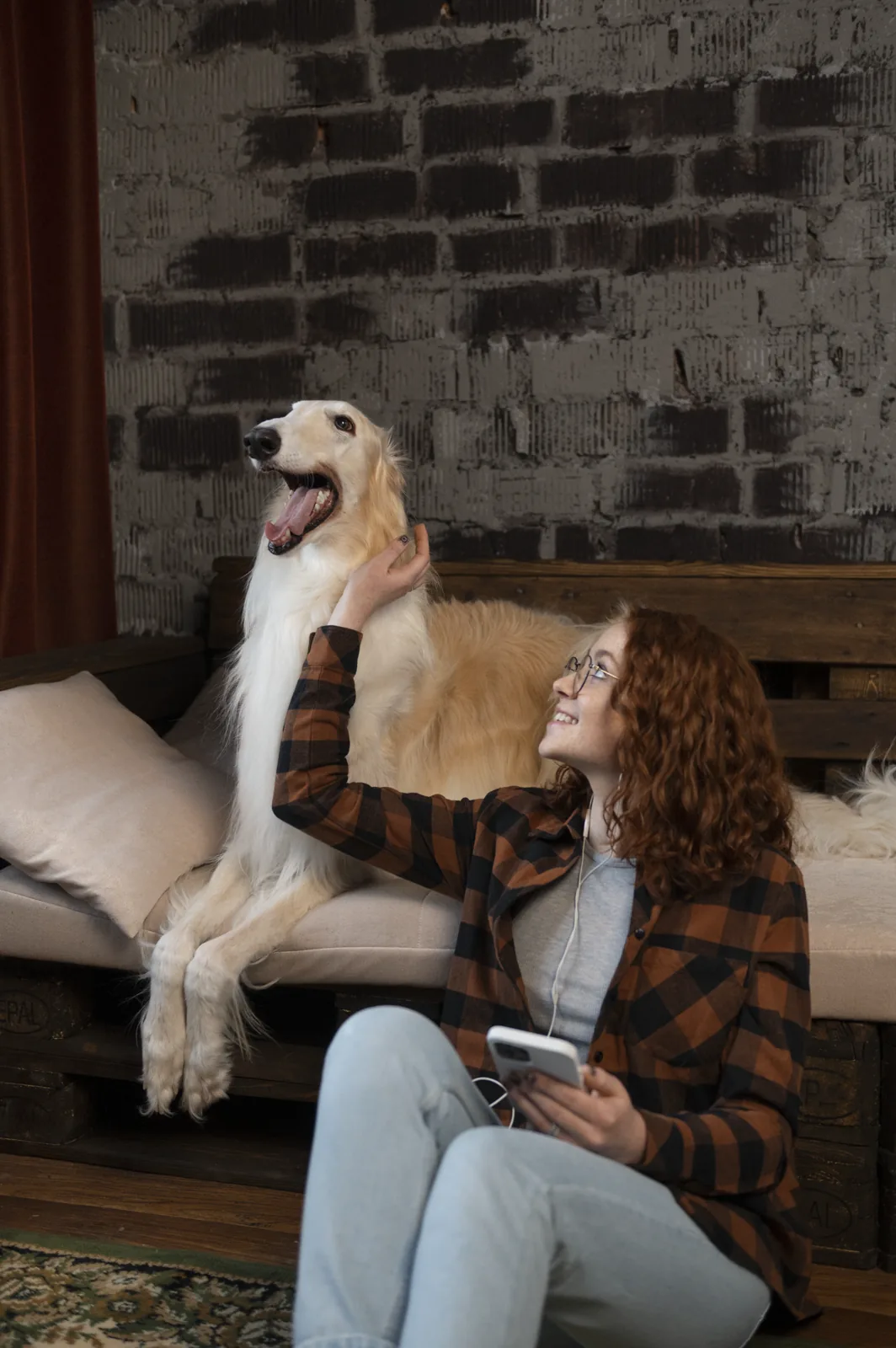 Petsitter Alvis z psem podczas spotkania zapoznawczego