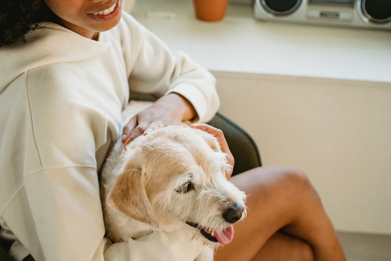 Petsitter Alvis podczas opieki nad zwierzęciem