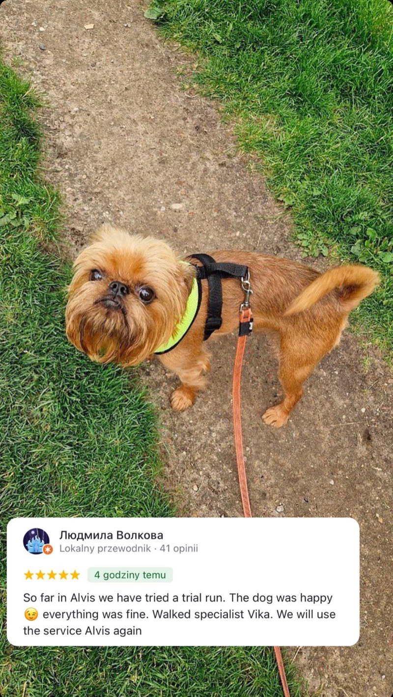 Opinia klienta Alvis o opiece nad małym psem