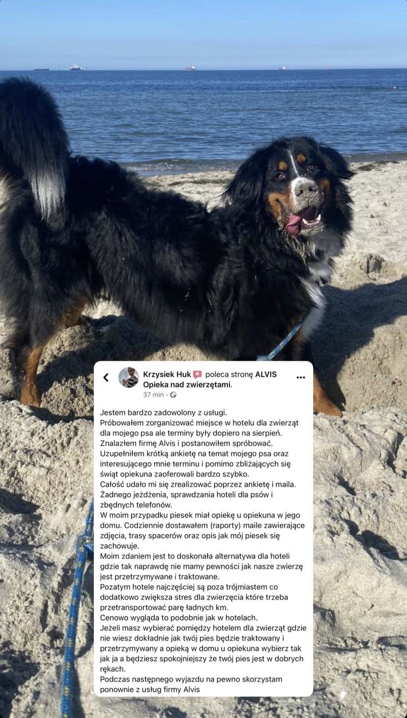 Opinia klienta Alvis o opiece nad psem