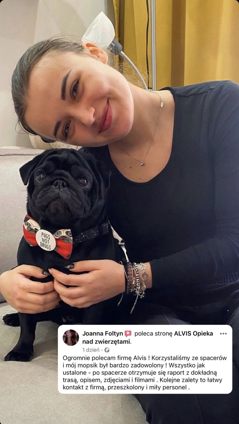 Opinia klienta Alvis o opiece nad psem
