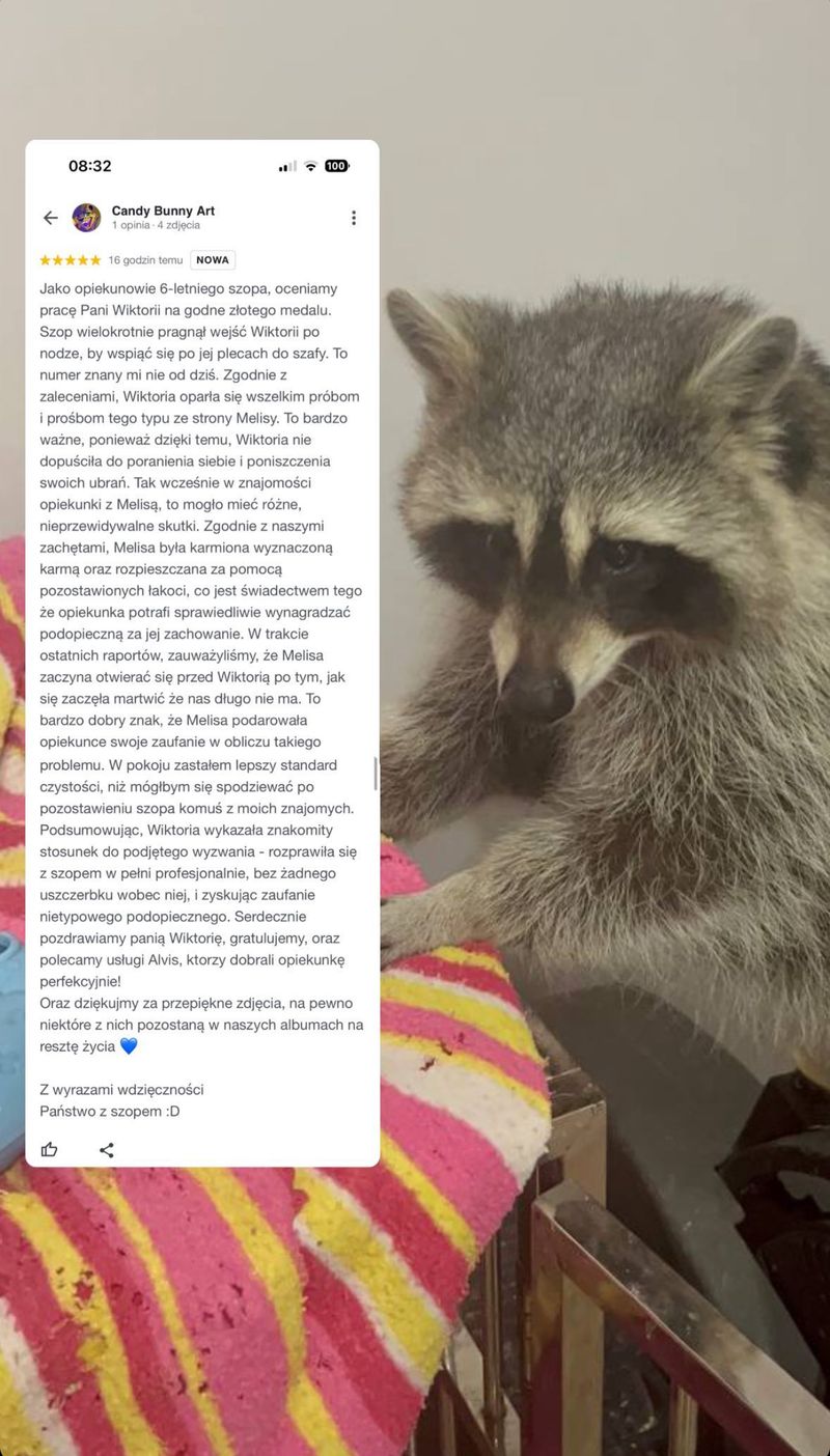 Opinia klienta Alvis o opiece nad psem