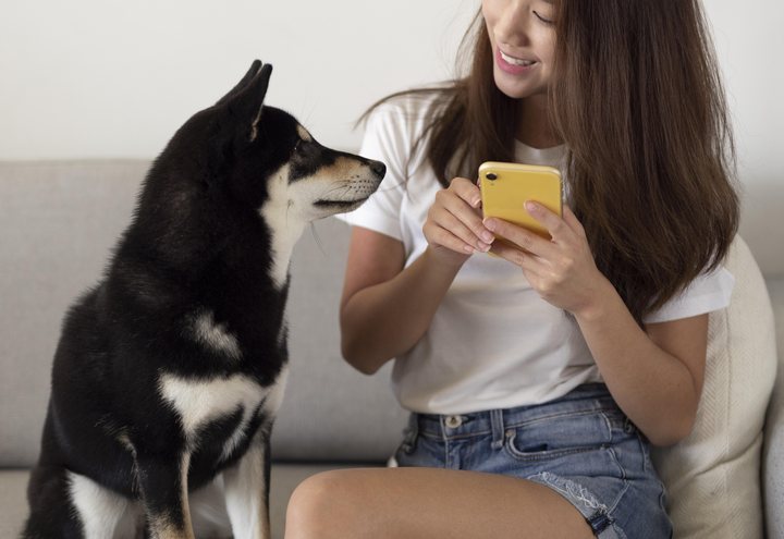 Właścicielka ogląda raport z wizyty w telefonie